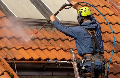 Démoussage et hydrofuge de toiture à Sainte-Gemme-la-Plaine